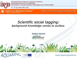 Dublin Core Social Tagging Workshop 2009




    Scientific social tagging:
background knowledge comes to surface

                             Stefano Bianchi




                                                      www.aquaringweb.eu
      ECP 2005 CULT 038261
 