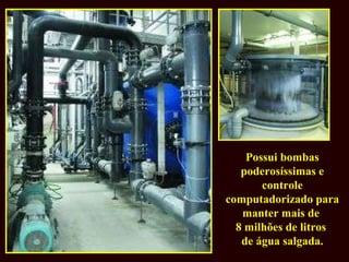 Possui bombas poderosíssimas e controle computadorizado para manter mais de  8 milhões de litros  de água salgada. 
