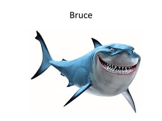 Bruce

 