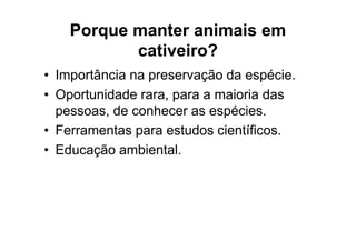 Porque manter animais em
           cativeiro?
• Importância na preservação da espécie.
• Oportunidade rara, para a maioria das
  pessoas, de conhecer as espécies.
• Ferramentas para estudos científicos.
• Educação ambiental.
 