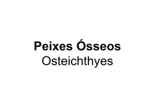 Peixes Ósseos
 Osteichthyes
 
