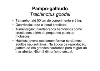 Pampo-galhudo
           Trachinotus goodei
• Tamanho: até 50 cm de comprimento e 3 kg.
• Ocorrência: todo o litoral brasileiro.
• Alimentação: invertebrados bentônicos como
  crustáceos, além de pequenos peixes e
  moluscos.
• Hábitos: jovens costumam formar cardumes;
  adultos são solitários. Na época de reprodução,
  juntam-se em grandes cardumes para migrar ao
  mar aberto. Não há dimorfismo sexual.
 