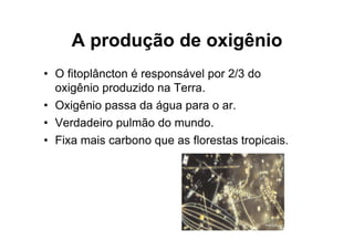 A produção de oxigênio
• O fitoplâncton é responsável por 2/3 do
  oxigênio produzido na Terra.
• Oxigênio passa da água para o ar.
• Verdadeiro pulmão do mundo.
• Fixa mais carbono que as florestas tropicais.
 
