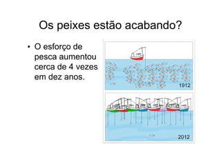 Os peixes estão acabando?
• O esforço de
  pesca aumentou
  cerca de 4 vezes
  em dez anos.
 