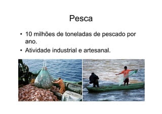 Pesca
• 10 milhões de toneladas de pescado por
  ano.
• Atividade industrial e artesanal.
 
