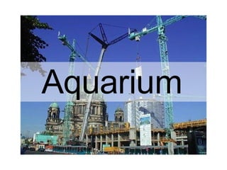 Aquarium   