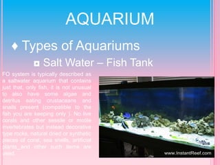 Aquarium Accessories and Decorative.pdf