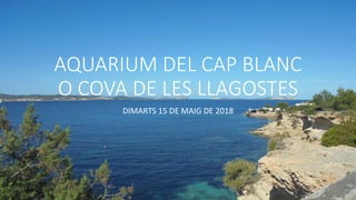 AQUARIUM DEL CAP BLANC
O COVA DE LES LLAGOSTES
DIMARTS 15 DE MAIG DE 2018
 