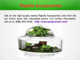 Reptile Accessories
Get on the high-quality tested Reptile Accessories only from the
our online store with affordable prices. For further information,
call us on (888) 845-0026. http://www.petpromart.com/
 