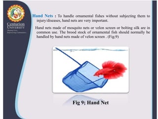 Aquarium accessories ppt. To understand various types of aquarium ...