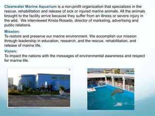 Image showcasing Aquarium audit | PPT