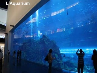 L’Aquarium 