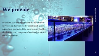 Provides you the aquarium maintenance
services and products by small and large
aquarium projects. It is uses in watched by
the home, the company of seafood tank and
coral aquarium.
02
We provide
WWW.TKOCORAL.COM