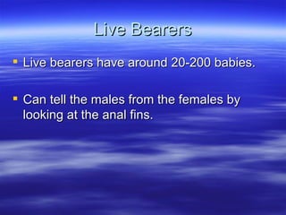 Aquarium filteration notes | PPT