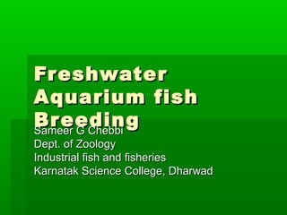 FreshwaterFreshwater
Aquarium fishAquarium fish
BreedingBreedingSameer G ChebbiSameer G Chebbi
Dept. of ZoologyDept. of Zoology
Industrial fish and fisheriesIndustrial fish and fisheries
Karnatak Science College, DharwadKarnatak Science College, Dharwad
 