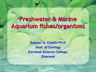 Freshwater & Marine
Aquarium fishes/organisms
Sameer G. Chebbi Ph.D
Dept. of Zoology
Karnatak Science College,
Dharwad

 