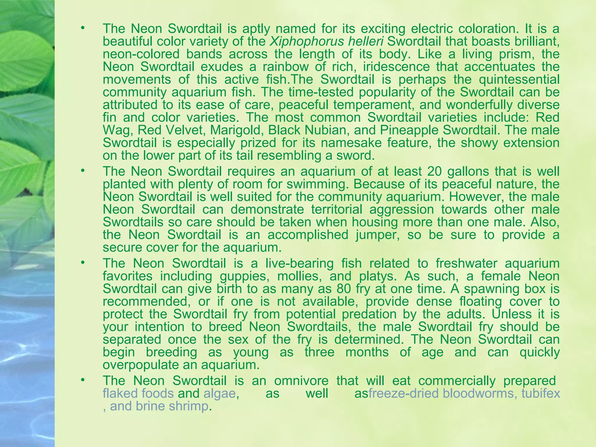 • The Neon Swordtail is aptly named for its exciting electric coloration. It is a
beautiful color variety of the Xiphophorus helleri Swordtail that boasts brilliant,
neon-colored bands across the length of its body. Like a living prism, the
Neon Swordtail exudes a rainbow of rich, iridescence that accentuates the
movements of this active fish.The Swordtail is perhaps the quintessential
community aquarium fish. The time-tested popularity of the Swordtail can be
attributed to its ease of care, peaceful temperament, and wonderfully diverse
fin and color varieties. The most common Swordtail varieties include: Red
Wag, Red Velvet, Marigold, Black Nubian, and Pineapple Swordtail. The male
Swordtail is especially prized for its namesake feature, the showy extension
on the lower part of its tail resembling a sword.
• The Neon Swordtail requires an aquarium of at least 20 gallons that is well
planted with plenty of room for swimming. Because of its peaceful nature, the
Neon Swordtail is well suited for the community aquarium. However, the male
Neon Swordtail can demonstrate territorial aggression towards other male
Swordtails so care should be taken when housing more than one male. Also,
the Neon Swordtail is an accomplished jumper, so be sure to provide a
secure cover for the aquarium.
• The Neon Swordtail is a live-bearing fish related to freshwater aquarium
favorites including guppies, mollies, and platys. As such, a female Neon
Swordtail can give birth to as many as 80 fry at one time. A spawning box is
recommended, or if one is not available, provide dense floating cover to
protect the Swordtail fry from potential predation by the adults. Unless it is
your intention to breed Neon Swordtails, the male Swordtail fry should be
separated once the sex of the fry is determined. The Neon Swordtail can
begin breeding as young as three months of age and can quickly
overpopulate an aquarium.
• The Neon Swordtail is an omnivore that will eat commercially prepared
flaked foods and algae, as well asfreeze-dried bloodworms, tubifex
, and brine shrimp.
 