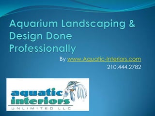Aquarium Landscaping & Design Done Professionally By www.Aquatic-Interiors.com 210.444.2782 