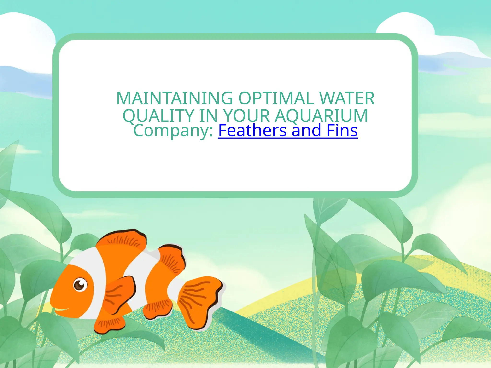 aquarium maintenance - feathers and fins | PPTX