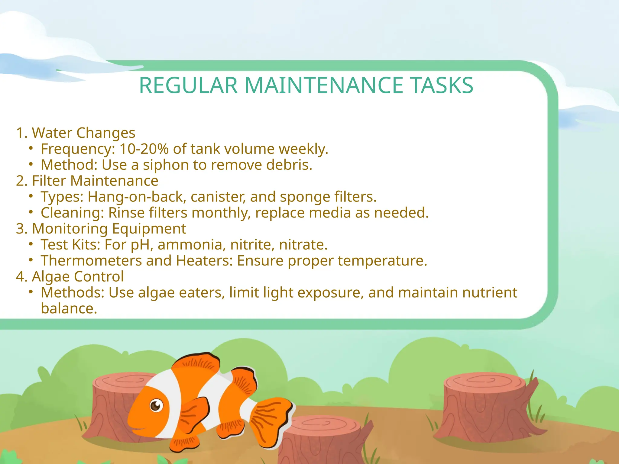 Beautiful view of Tiny Aquarium Fins Maintenance Tips For Beginners