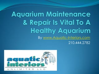 By www.Aquatic-Interiors.com
               210.444.2782
 