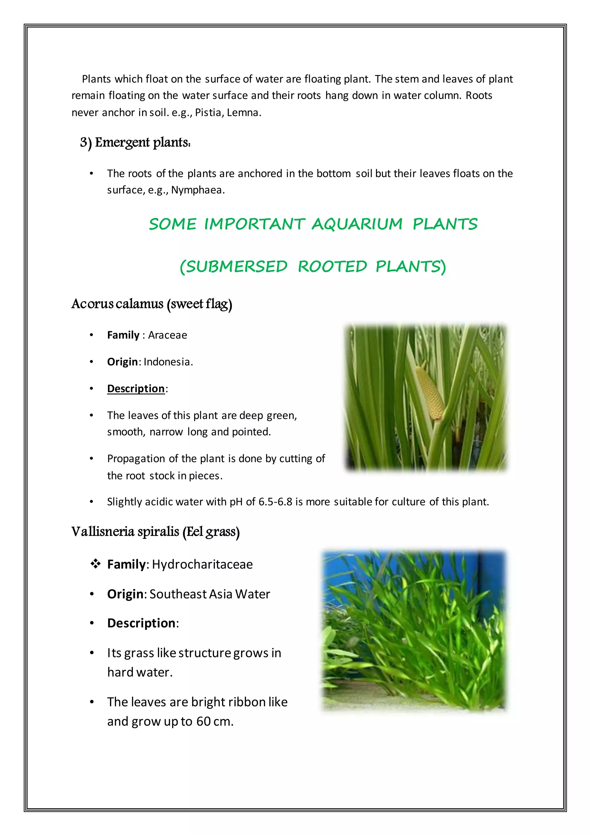 Aquarium plant: Utility and propagation | DOCX