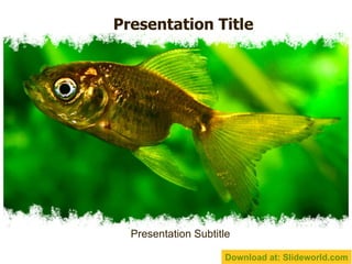 Presentation Title Presentation Subtitle Download at: Slideworld.com 