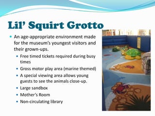 Lil’ Squirt Grotto
 An age-appropriate environment made

for the museum’s youngest visitors and
their grown-ups.
 Free timed tickets required during busy








times
Gross motor play area (marine themed)
A special viewing area allows young
guests to see the animals close-up.
Large sandbox
Mother’s Room
Non-circulating library

 