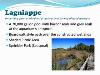 Lagniappe
something given or obtained gratuitously or by way of good measure

 A 70,000 gallon pool with harbor seals and grey seals
at the aquarium‘s entrance
 Boardwalk style path over the constructed wetlands
 Shaded Picnic Area
 Sprinkler Park (Seasonal)

 