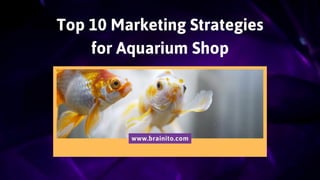 Top 10 Marketing Strategies
for Aquarium Shop
www.brainito.com
 