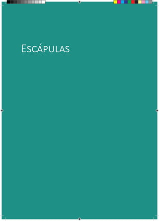 Escápulas
 