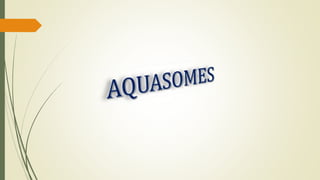 Aquasomes ppt.pptx