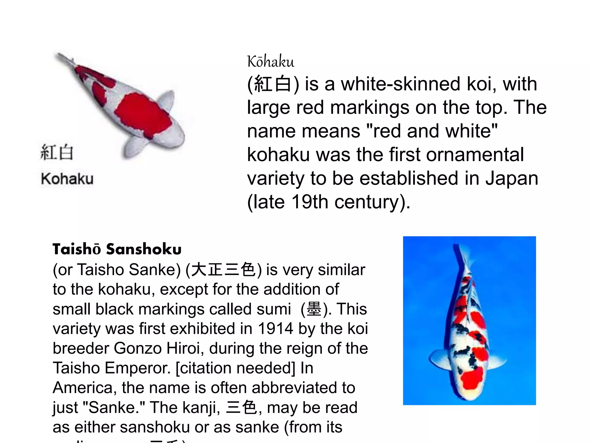 Major Varieties of Koi Fish | PPT