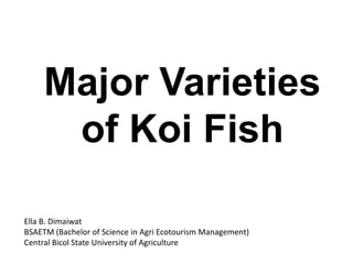 Major Varieties
of Koi Fish
Ella B. Dimaiwat
BSAETM (Bachelor of Science in Agri Ecotourism Management)
Central Bicol State University of Agriculture
 