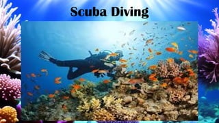Scuba Diving
 