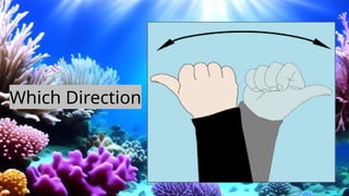 Which Direction
 