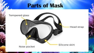 Parts of Mask
 