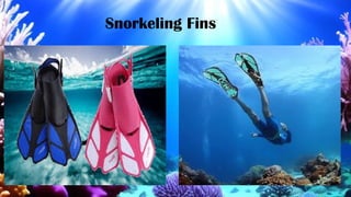 Snorkeling Fins
 