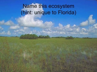 Name this ecosystem (hint: unique to Florida) 