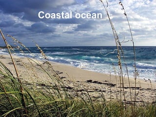 Coastal ocean 