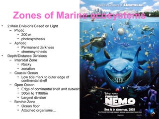 Zones of Marine ecosystems 2 Main Divisions Based on Light Photic 200 m photosynthesis Aphotic Permanent darkness chemosynthesis Depth/Distance Divisions Intertidal Zone Rocky zonation Coastal Ocean Low tide mark to outer edge of continental shelf Open Ocean Edge of continental shelf and outward 500m to 11000m Largest division Benthic Zone Ocean floor Attached organisms… 