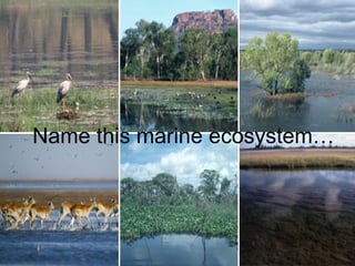 Name this marine ecosystem… 
