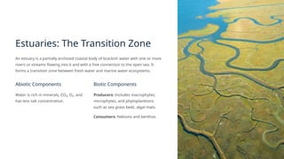 Comprehensive Overview of Aquatic Ecosystems: Types, Characteristics ...