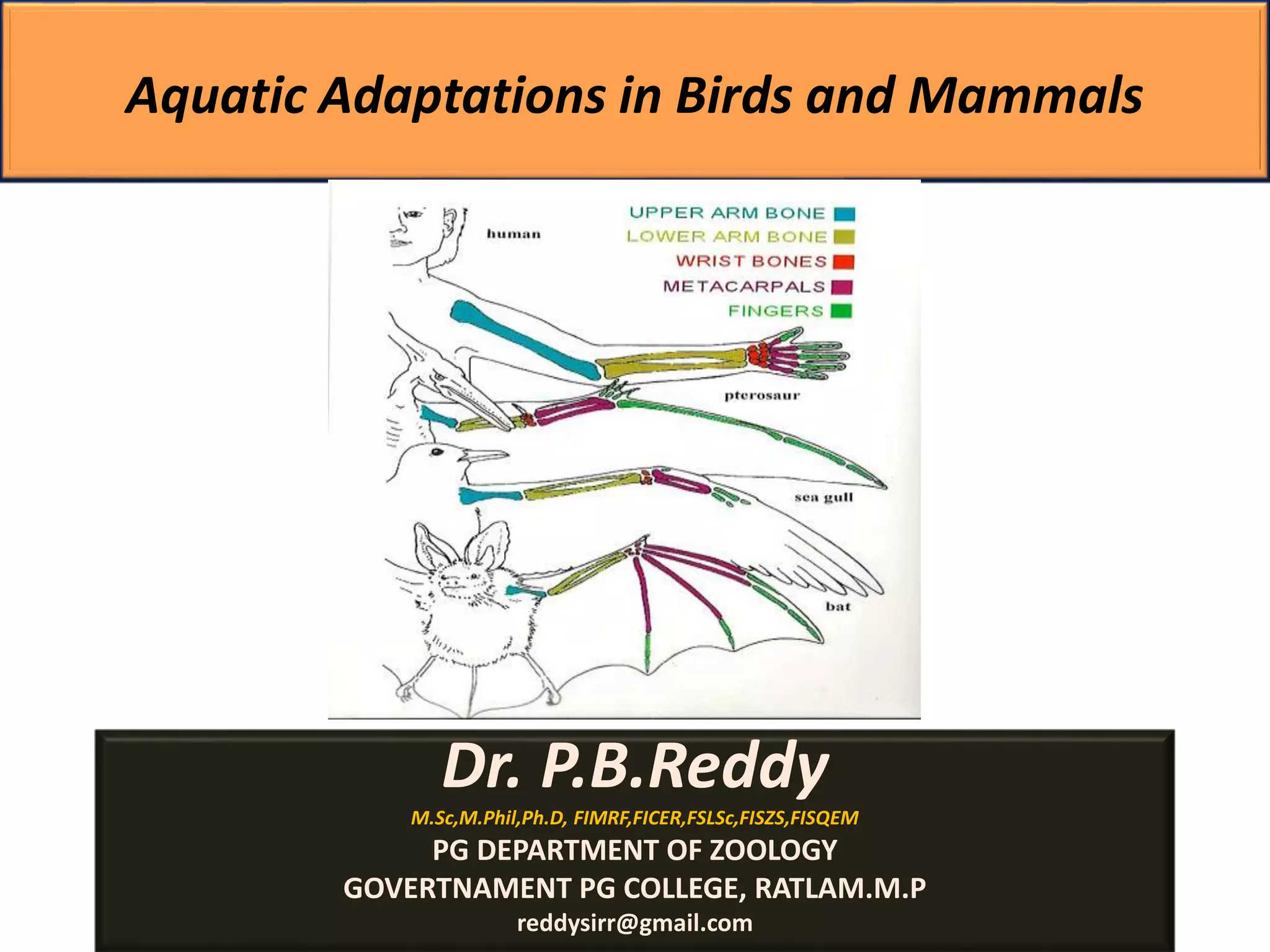Aquatic adaptations | PPTX