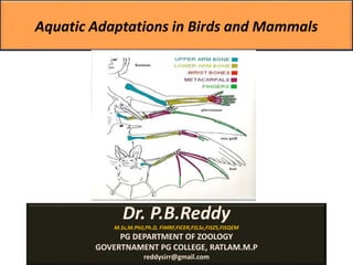 Aquatic Adaptations in Birds and Mammals
Dr. P.B.Reddy
M.Sc,M.Phil,Ph.D, FIMRF,FICER,FSLSc,FISZS,FISQEM
PG DEPARTMENT OF ZOOLOGY
GOVERTNAMENT PG COLLEGE, RATLAM.M.P
reddysirr@gmail.com
 