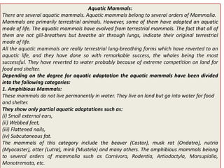 Aquatic adaptations
