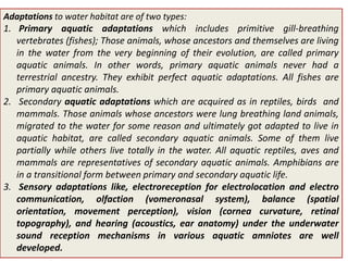 Aquatic adaptations