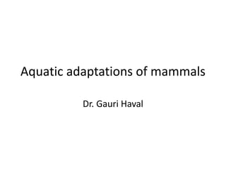 Aquatic adaptations of mammals
Dr. Gauri Haval
 