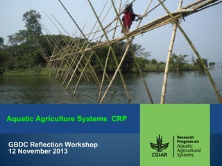Aquatic Agriculture Systems CRP
GBDC Reflection Workshop
12 November 2013

 