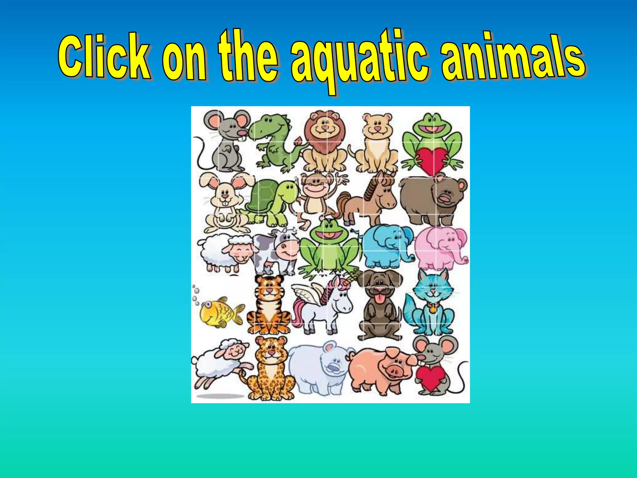 Aquatic animals  1